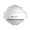 Ruijie Reyee AX1800 WiFi 6 Outdoor Access Point (RG-RAP6262(G))