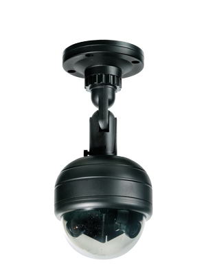 SPRO 540TVL 180 View Ceiling